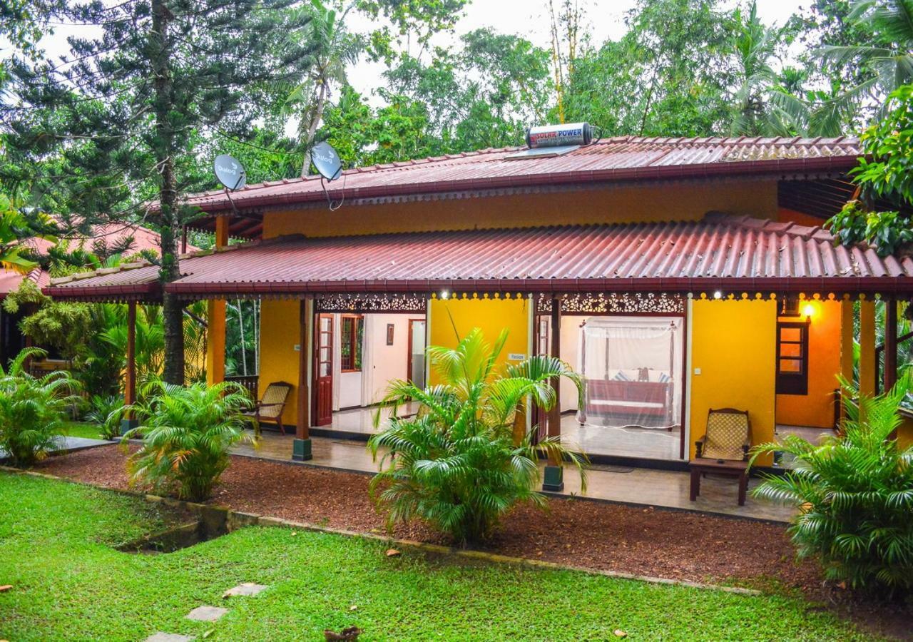 Araliya Gardens Hotel 希克杜沃 外观 照片